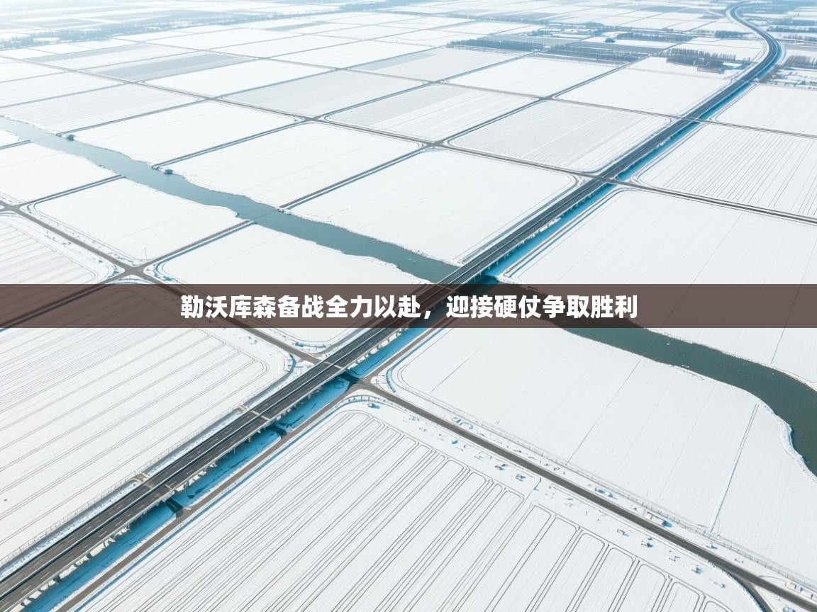 勒沃库森备战全力以赴，迎接硬仗争取胜利  第1张