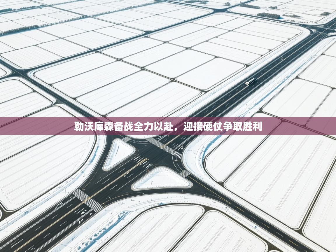 勒沃库森备战全力以赴，迎接硬仗争取胜利  第2张