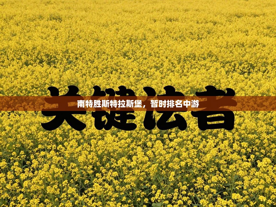 南特胜斯特拉斯堡，暂时排名中游  第1张