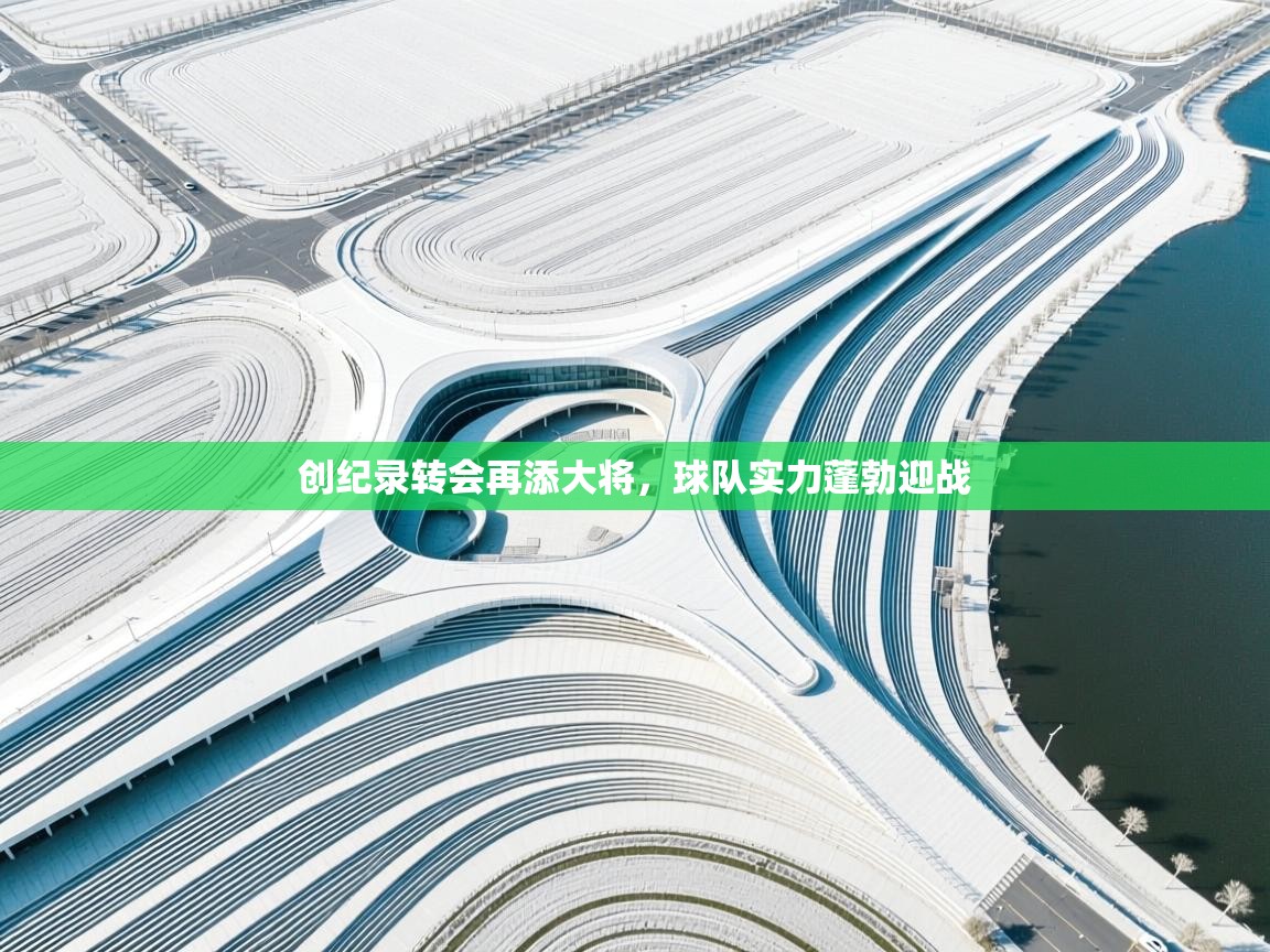 创纪录转会再添大将，球队实力蓬勃迎战  第2张