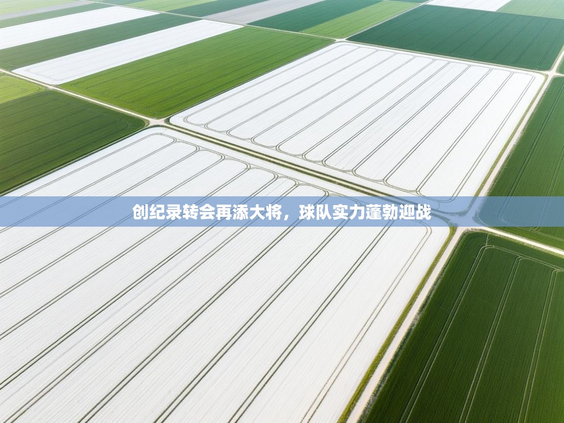 创纪录转会再添大将，球队实力蓬勃迎战  第1张