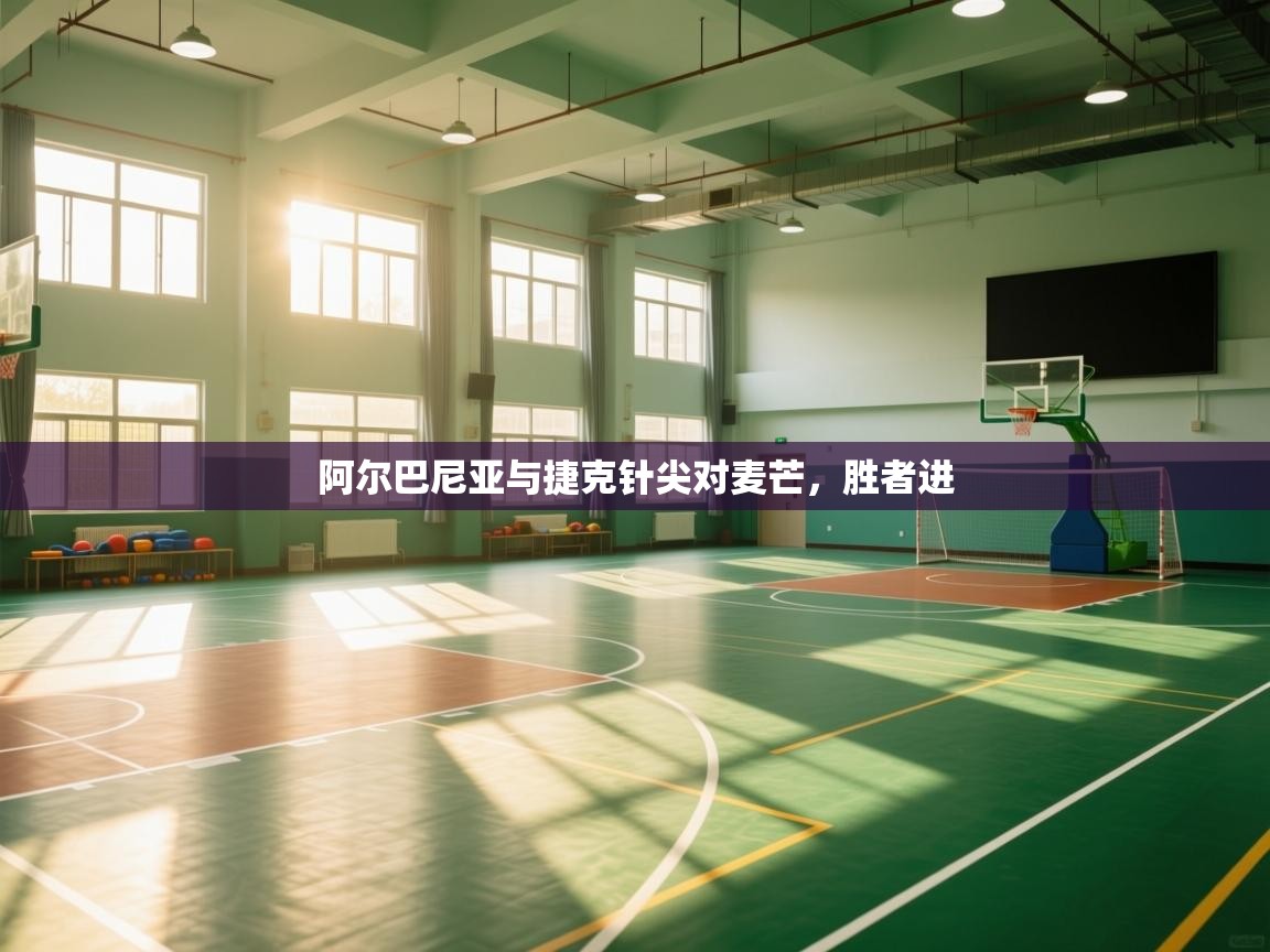 阿尔巴尼亚与捷克针尖对麦芒，胜者进  第2张